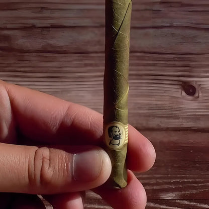 ZIG-ZAG Pre Rolled Cones - Palm Mini Rolls (25 Pack)