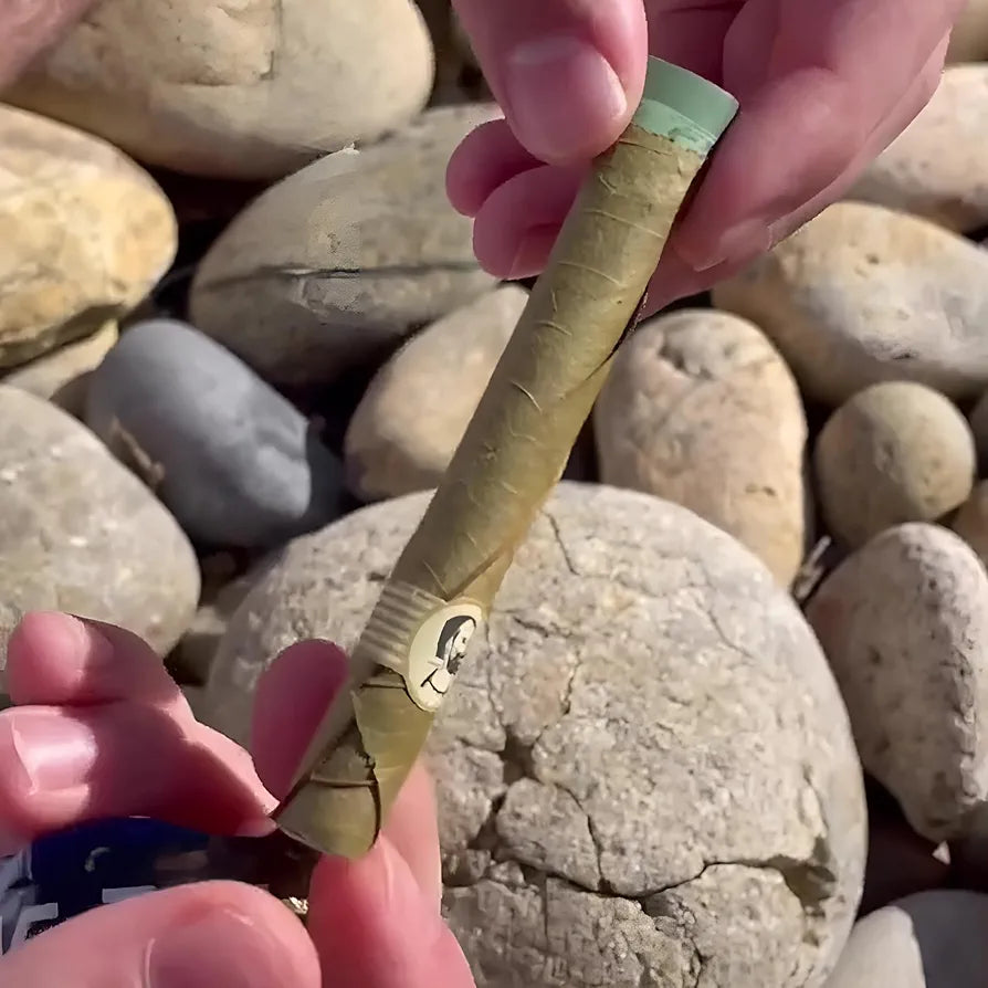 ZIG-ZAG Pre Rolled Cones - Palm Mini Rolls (25 Pack)