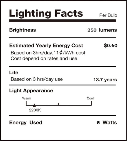 Oversized Vintage LED Light Bulbs 5W
