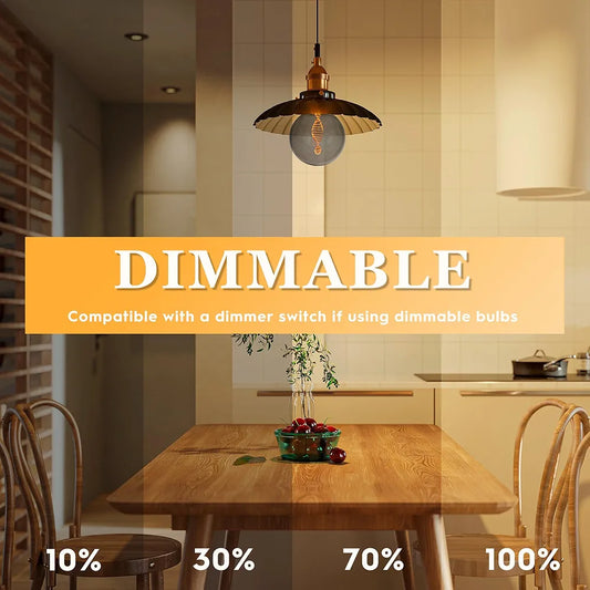 DOUBLE HELIX Oversized Vintage Edison Dimmable LED Bulb, 3.5W 55LM Low Lumen Eye-Caring Soft Dim Lighting for Mood(Not Daylight White), E26 Medium Base, Smoke