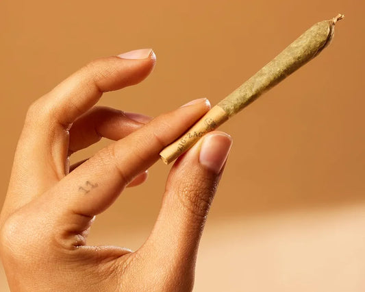 ZIG-ZAG Cones King Size - 100 Pack
